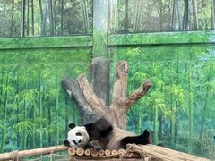 -灵玲国际马戏城
