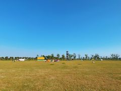 -春花秋色城市公园