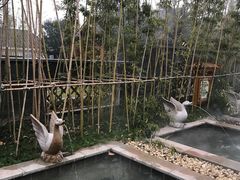 -郑州银基黄帝宫御温泉