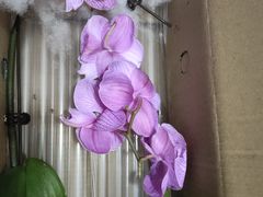 -源香斋糕点(天津店)