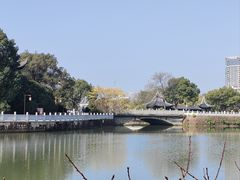 -八大山人梅湖景区