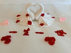 -深圳彭年万丽酒店