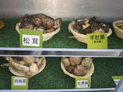 -菌海森林·非遗野生菌火锅(西山区滇池路摩根道店)