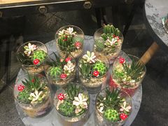 -豆豆花艺(新光天地店)