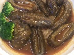 -常州环球恐龙城维景国际大酒店
