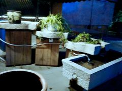 -百里峡七彩艺术小镇