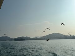 -海驴岛(荣成市)