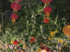 -拉斯维加斯永利酒店