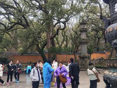 -普陀山风景名胜区-法雨禅寺