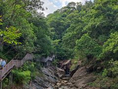 -广州白江湖森林公园