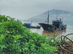 -北岐滩涂