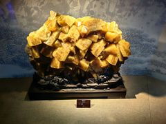 -甘肃地质博物馆