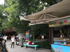 -杭州少年儿童公园