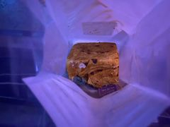 -BreadTalk面包新语·烘焙蛋糕(海珠丽影广场店)