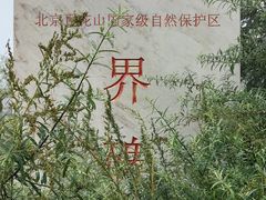 -灵山