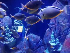 -成都浩海立方海洋公园