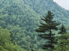 -凤凰山国家森林公园