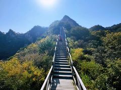 -大岭沟猕猴桃谷风景区