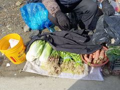 -小鱼草莓采摘园农家乐·小鱼餐厅