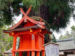 -奈良公园