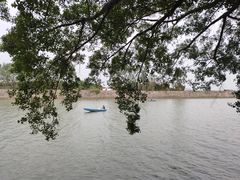 -大湾区中央湿地公园
