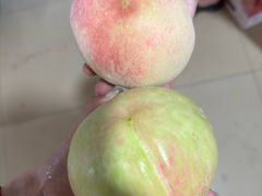 -老袁家蜜桃农场·阳山水蜜桃