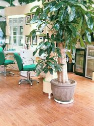 -艺米阳光Hair Salon