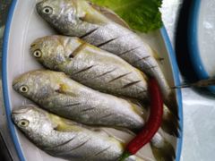 -大众海鲜(巨龙北路店)