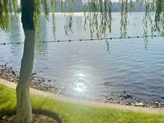 -天鹅湖体育公园