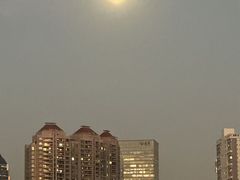 -新龙船黄浦江餐饮游船官方自营店