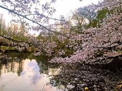 -三鹰之森吉卜力美术馆