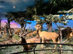 -国家自然博物馆