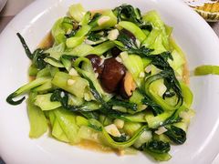 冬菇炒油菜-华春餐馆(鱼山路店)