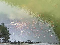 -十渡东湖港风景区