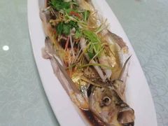 -掌勺人鱼馆(朝阳镇店)