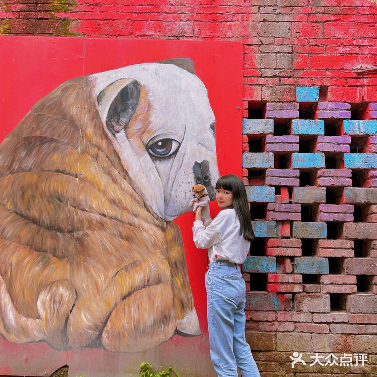 重庆版“格林童话”小镇✨人少绝美！重点还免费