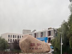 -特克斯八卦城