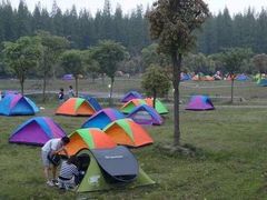 -崇明东平国家森林公园烧烤房车露营地