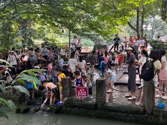 -成都市活水公园