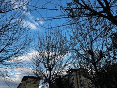 -CoCo都可(开发区梦乐城店)