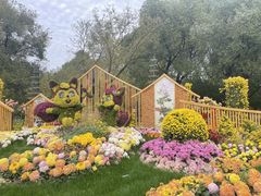 -上海共青森林公园