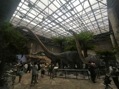 -国家自然博物馆