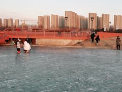 -丁香湖公园