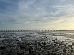 -宝安西湾红树林湿地公园