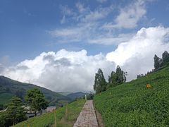 -东白山