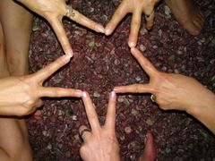 -水晶之星洗浴温泉汗蒸