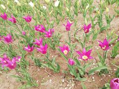 -长春公园(普阳街道)