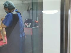 -宠福鑫康馨动物医院·骨科·眼科