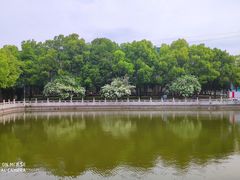 -荆州博物馆