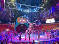 -俄罗斯国家大马戏团